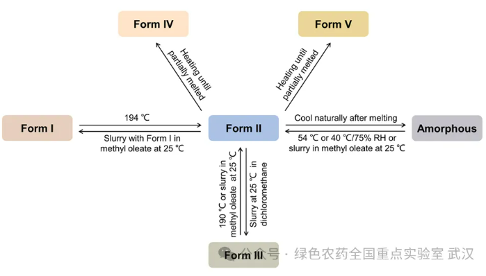 QQ20241031-111249.png